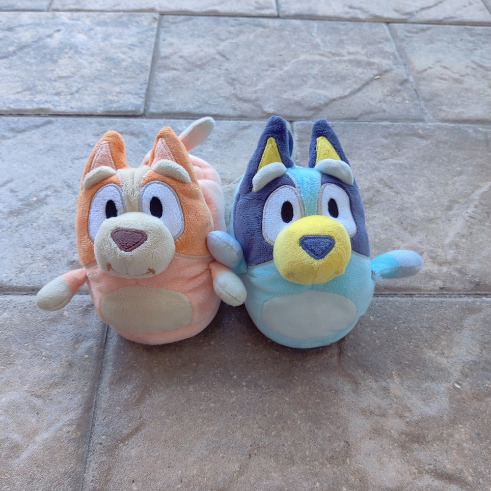 Bluey And Bingo Slippers